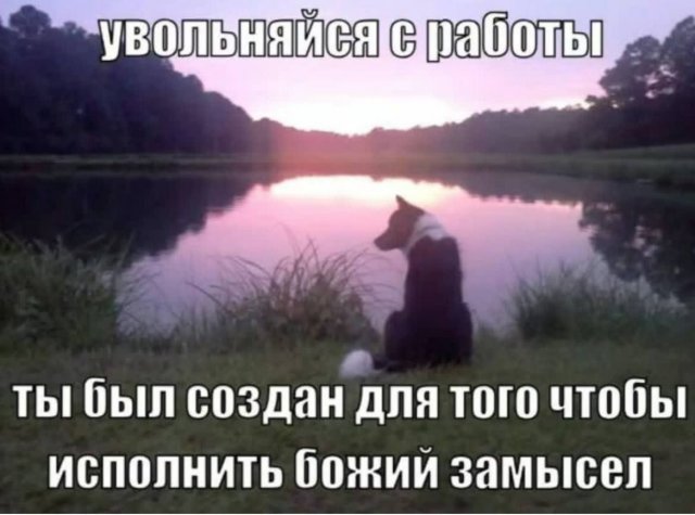Смешные мемы - 21.05.2025