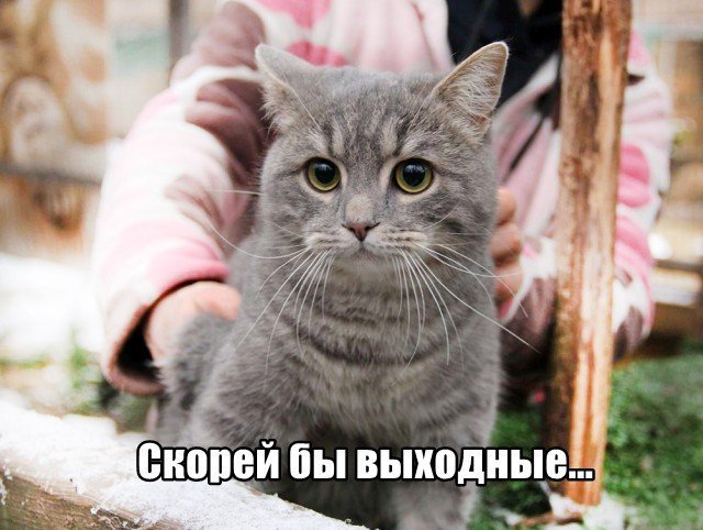 Трынделка - 21.05.2025