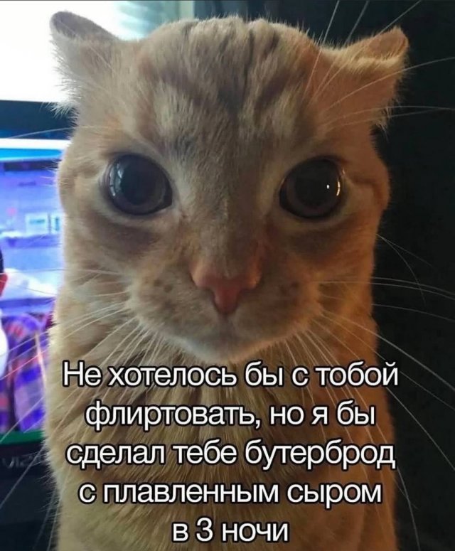 Лучшие шутки и мемы из Сети - 21.05.2025