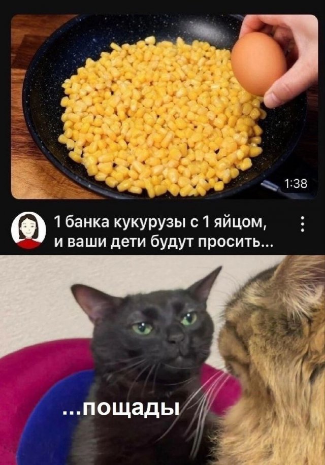 Лучшие шутки и мемы из Сети - 21.05.2025