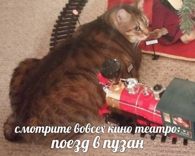 Лучшие шутки и мемы из Сети - 21.05.2025