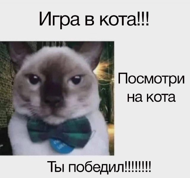 Лучшие шутки и мемы из Сети - 21.05.2025