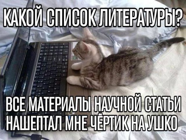 Лучшие шутки и мемы из Сети - 21.05.2025