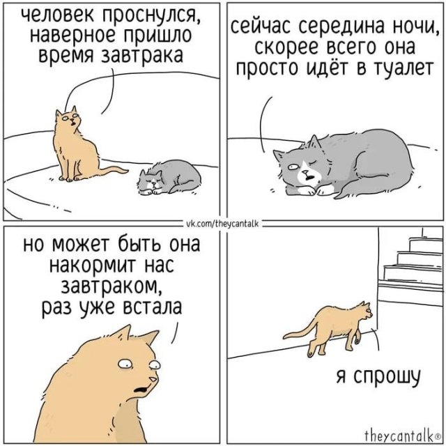 Смешные мемы - 22.05.2025