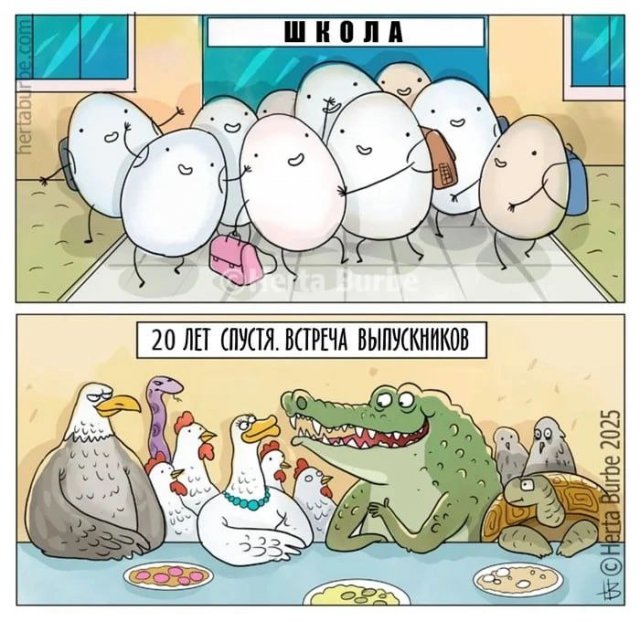 Смешные мемы - 22.05.2025