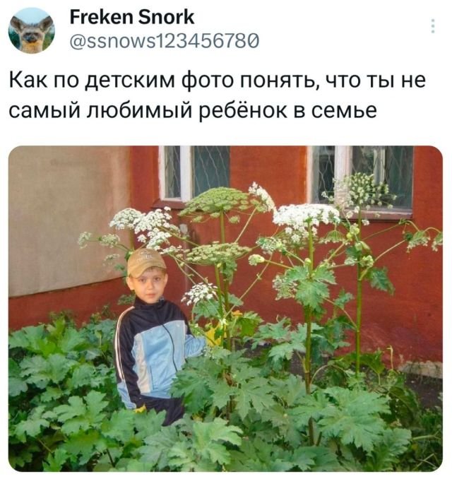 Подборка забавных твитов обо всем
