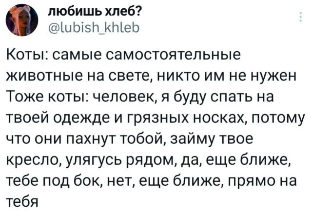 Подборка забавных твитов обо всем