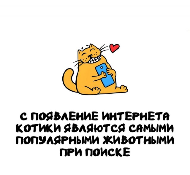 Интересные факты на все случаи жизни