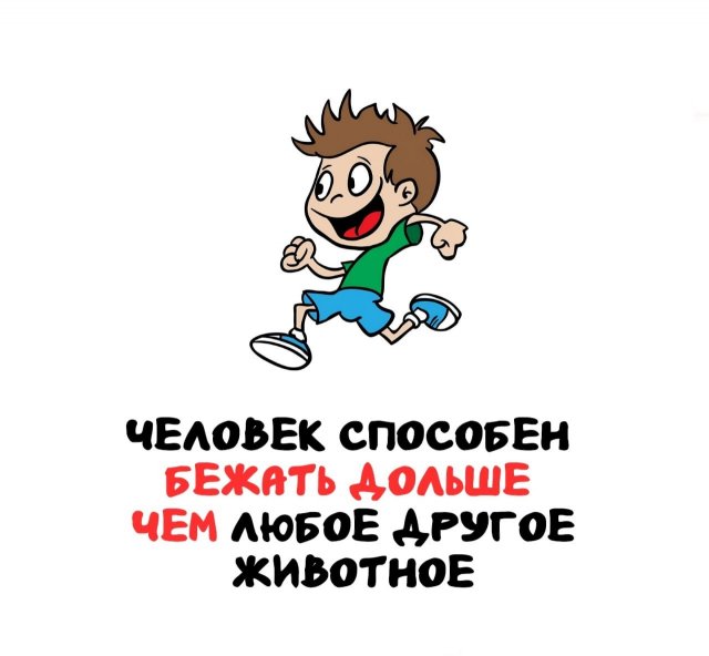 Интересные факты на все случаи жизни