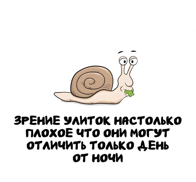 Интересные факты на все случаи жизни