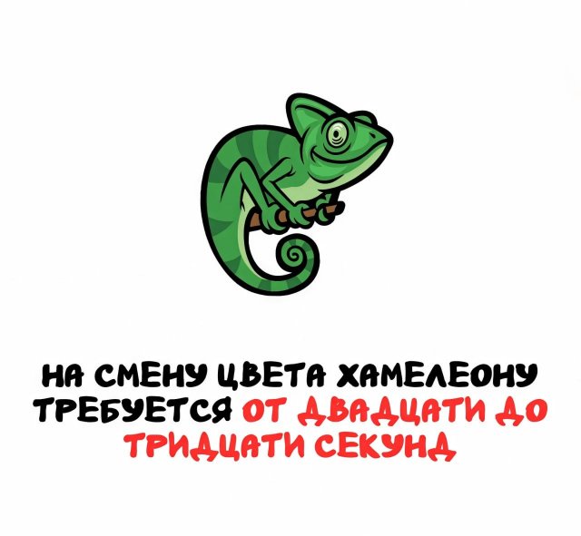 Интересные факты на все случаи жизни