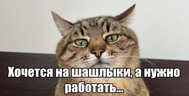 Трынделка - 22.05.2025