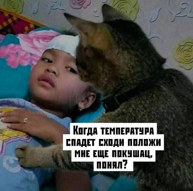 Лучшие шутки и мемы из Сети - 22.05.2025