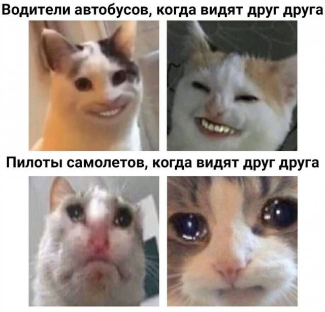 Смешные картинки - 23.05.2025