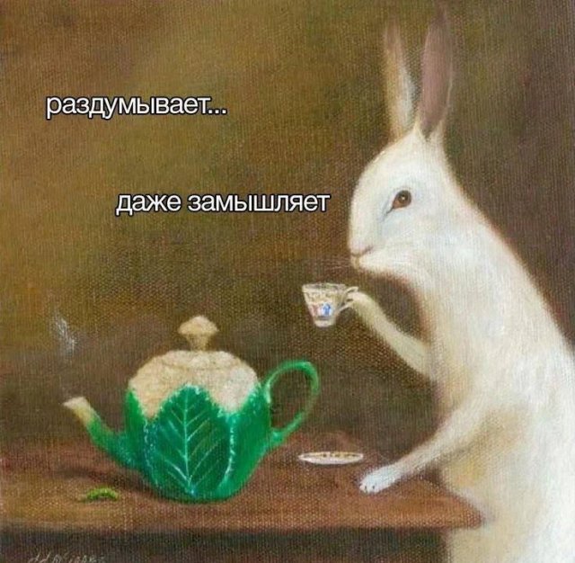 Смешные картинки - 23.05.2025