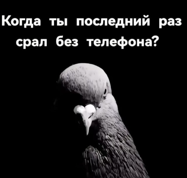 Смешные картинки - 23.05.2025