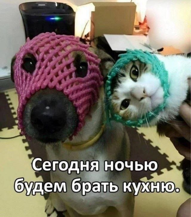 Смешные картинки - 23.05.2025