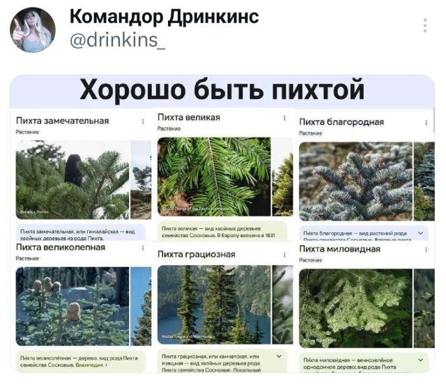 Подборка забавных твитов обо всем