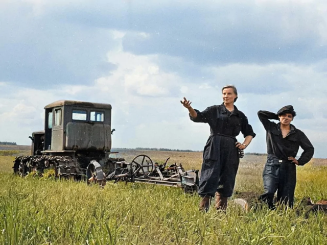 Комсомольцы на целине, 1954-1960 год. Комсомольцы на целине, 1954-1960 год.