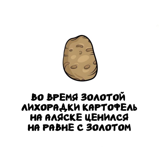 Интересные факты на все случаи жизни