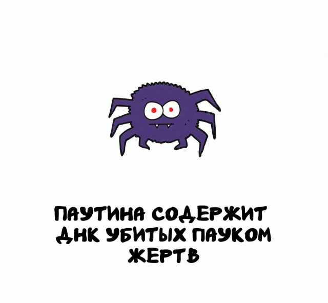 Интересные факты на все случаи жизни