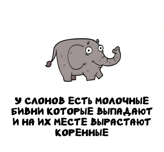 Интересные факты на все случаи жизни