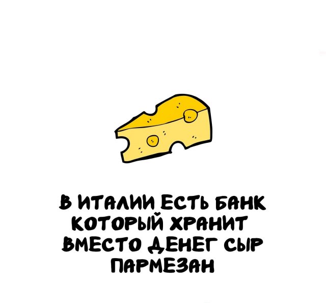 Интересные факты на все случаи жизни