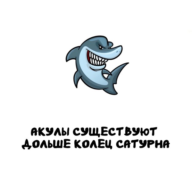 Интересные факты на все случаи жизни