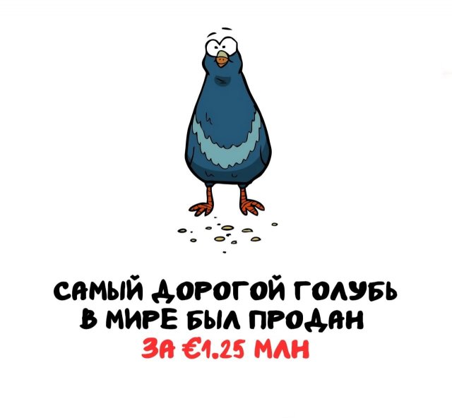 Интересные факты на все случаи жизни