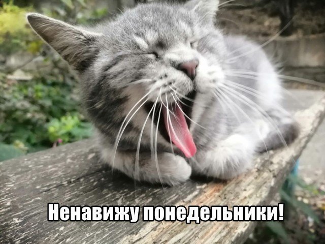 Трынделка - 26.05.2025