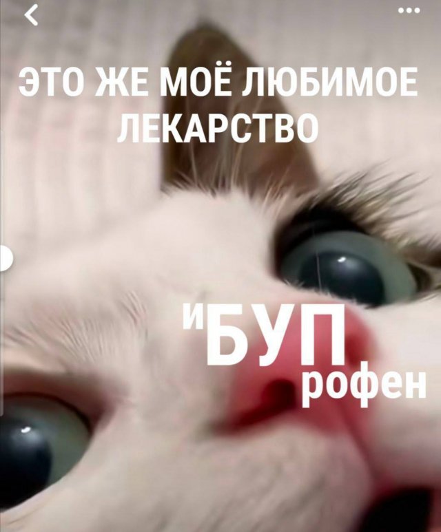 Смешные мемы - 26.05.2025