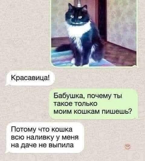 Смешные мемы - 26.05.2025