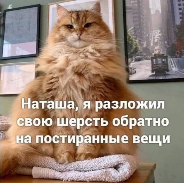 Смешные мемы - 26.05.2025