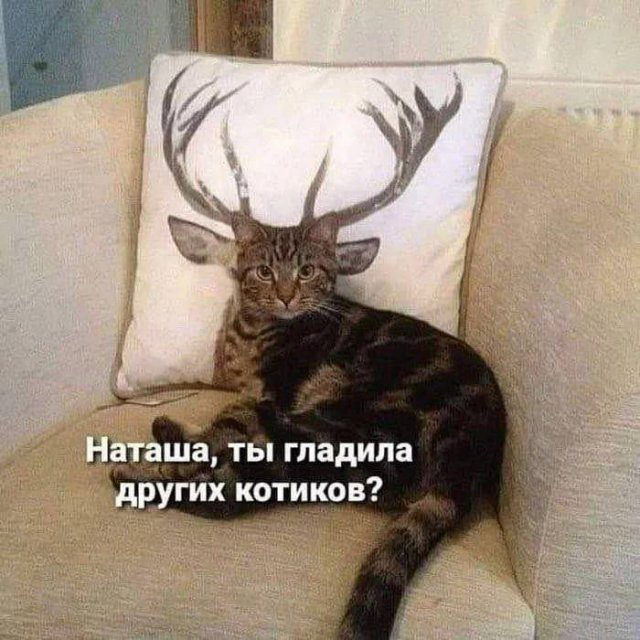 Лучшие шутки и мемы из Сети - 26.05.2025