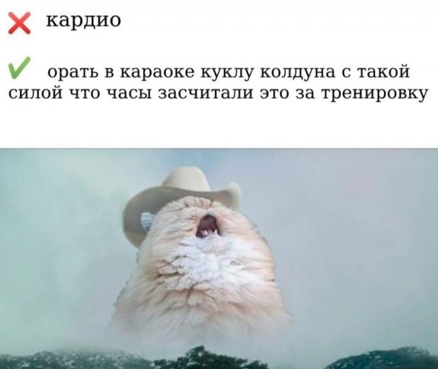 Лучшие шутки и мемы из Сети - 26.05.2025