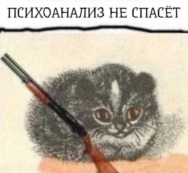 Лучшие шутки и мемы из Сети - 26.05.2025