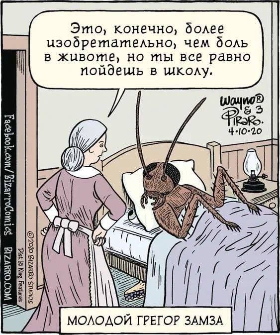 Лучшие шутки и мемы из Сети - 26.05.2025