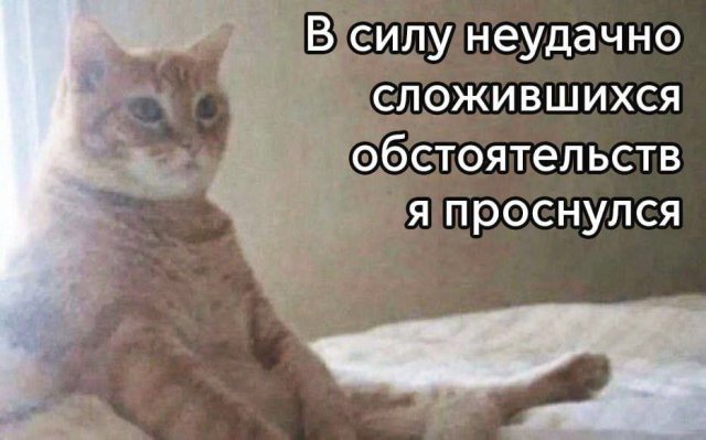 Лучшие шутки и мемы из Сети - 26.05.2025