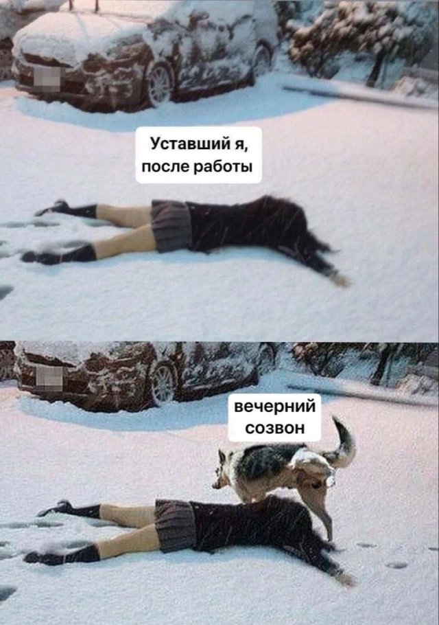 Лучшие шутки и мемы из Сети - 26.05.2025