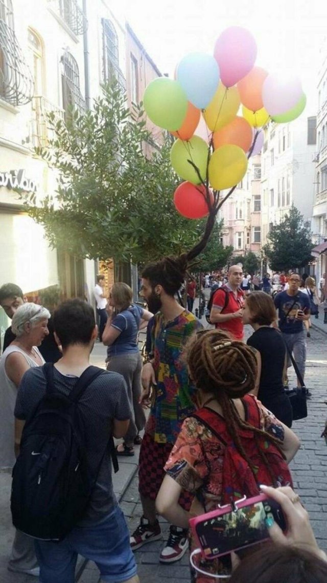 Подборка картинок. Вечерний выпуск - 26.05.2025