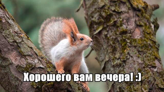 Трынделка - 27.05.2025