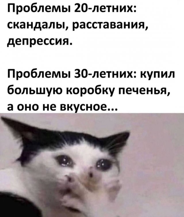 Смешные мемы - 27.05.2025