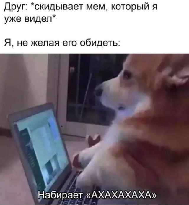 Смешные мемы - 27.05.2025