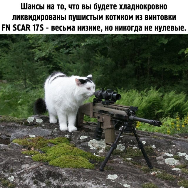 Смешные мемы - 27.05.2025