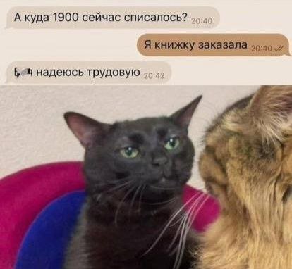 Смешные картинки - 27.05.2025