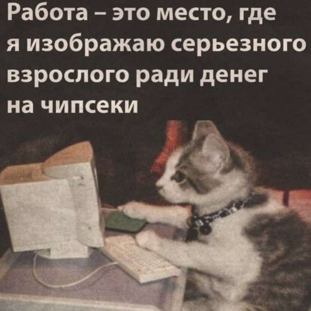 Смешные картинки - 27.05.2025