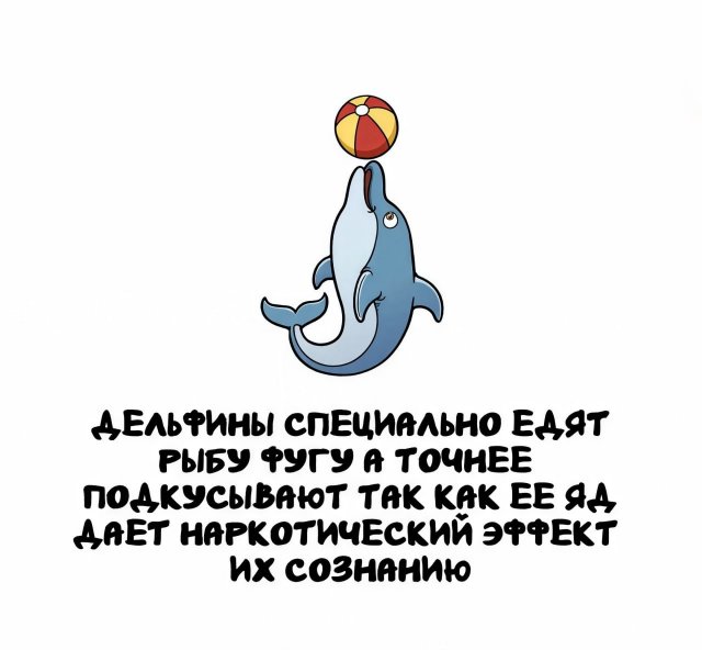 Интересные факты на все случаи жизни