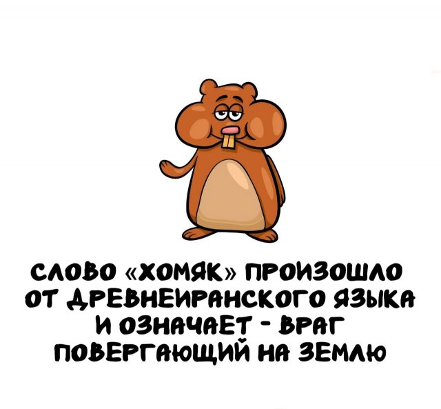 Интересные факты на все случаи жизни
