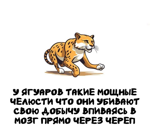 Интересные факты на все случаи жизни