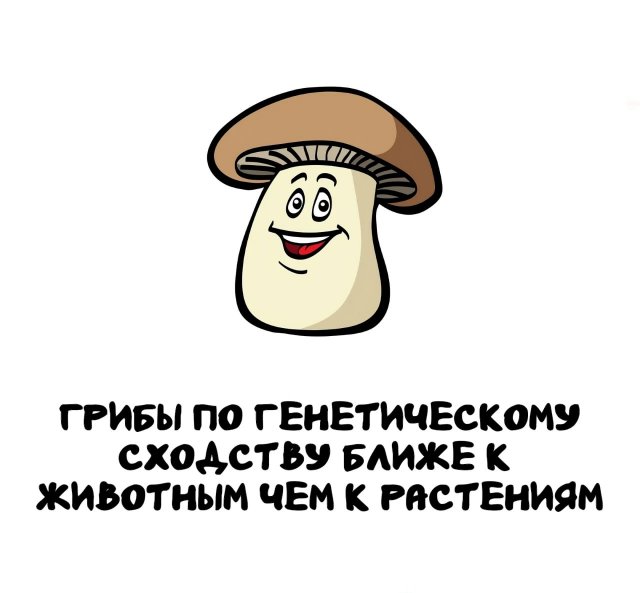 Интересные факты на все случаи жизни